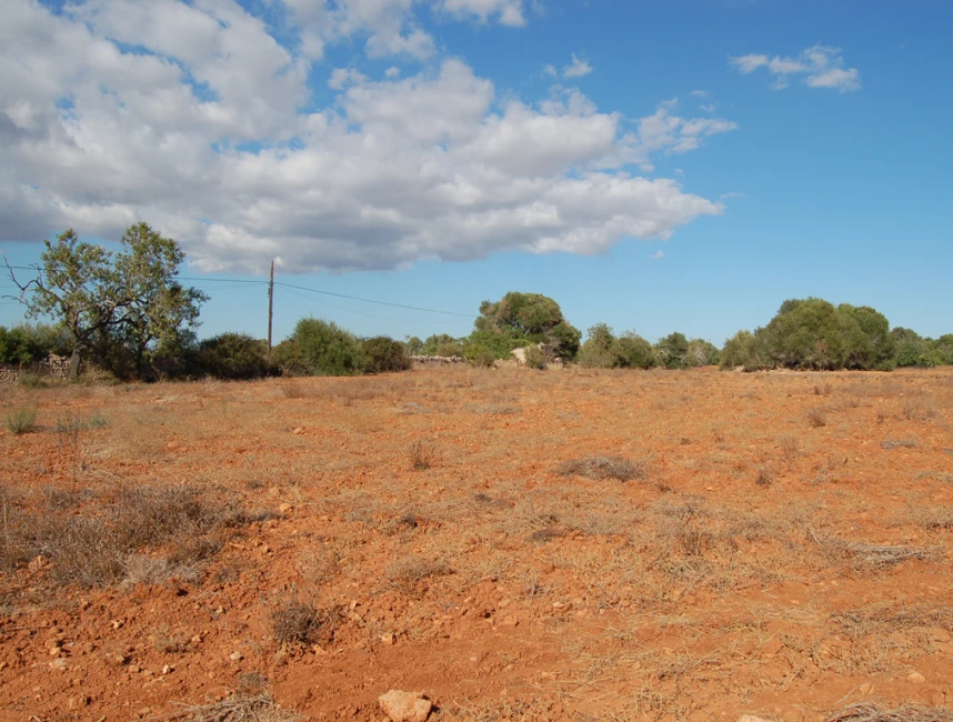 Dos terrenys contigus amb vistes panoràmiques a Algaida-4