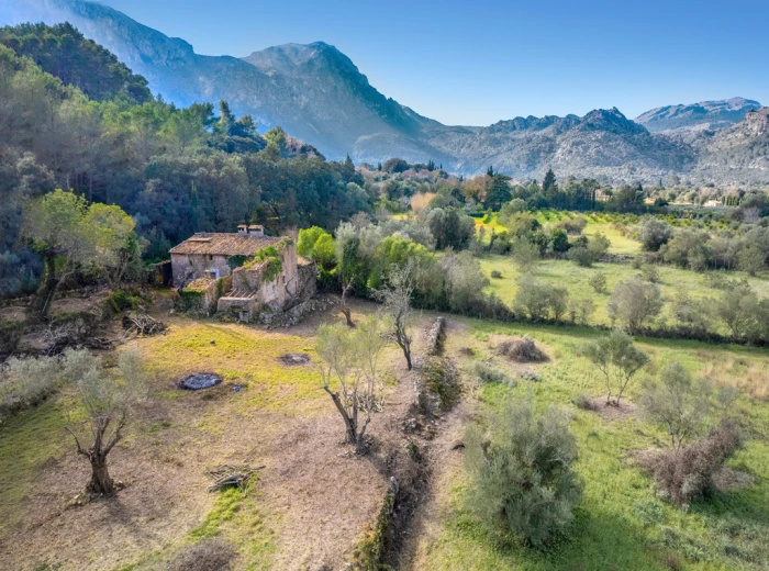 Finca to reform in stunning Vall d'en March-4