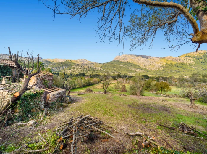 Finca to reform in stunning Vall d'en March-6