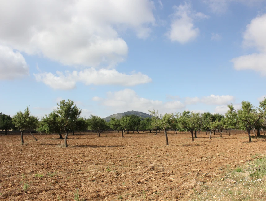 Beau terrain rural pour maison familiale à Buger - Mallorca North-3