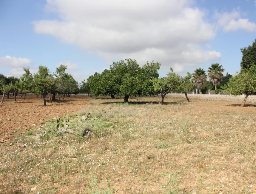 Beau terrain rural pour maison familiale à Buger - Mallorca North-2