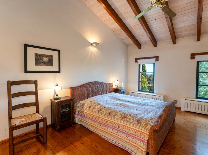 Authentic finca with charming elements-9