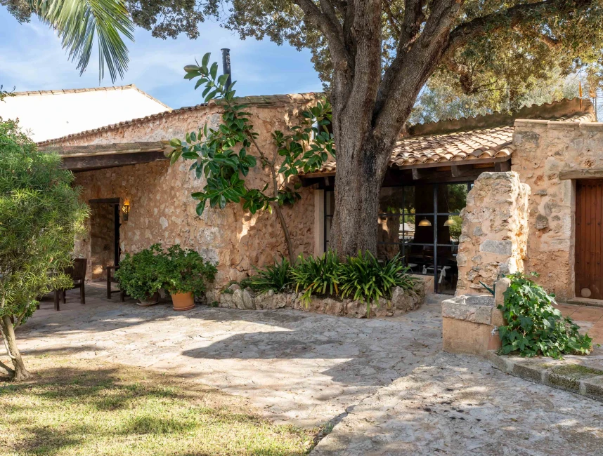 Authentic finca with charming elements-15
