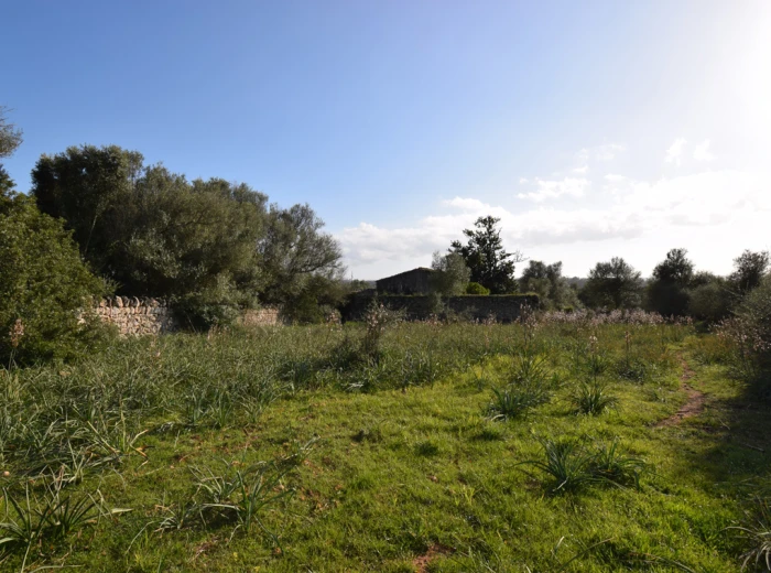 Mallorquin country house to renovate in Llubi-5
