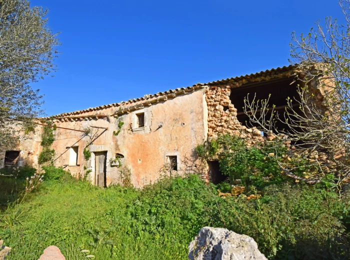 Mallorquin country house to renovate in Llubi-2