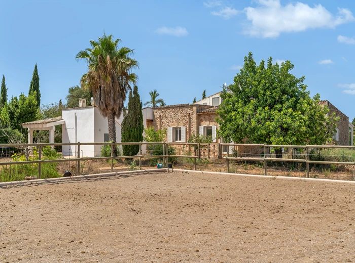 Finca in attractive location with horse paddock-13
