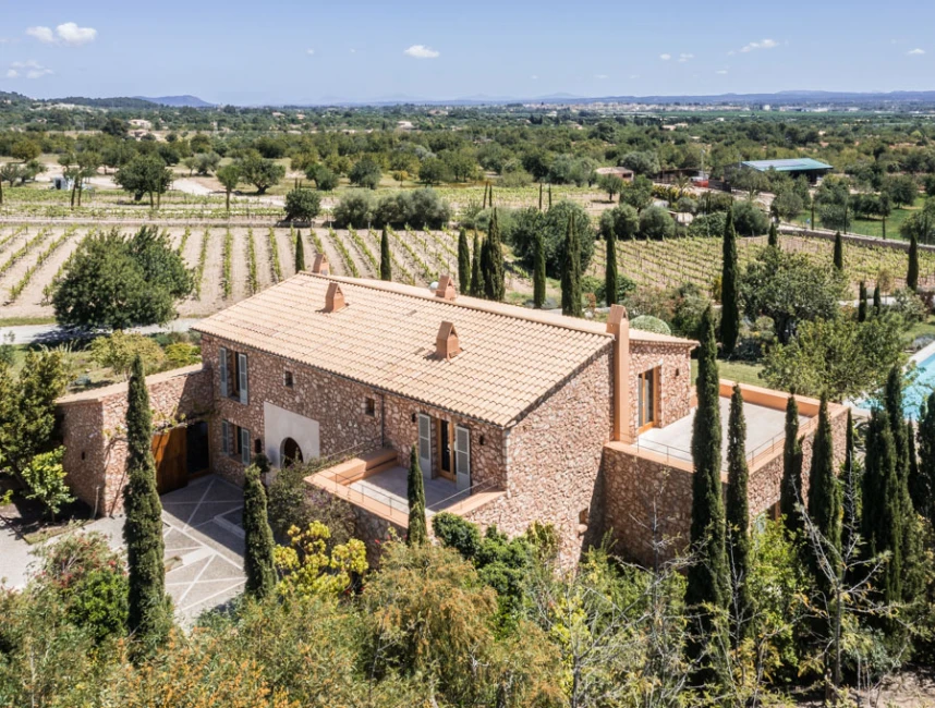 State of the art - Natural stone country house with vineyard-31