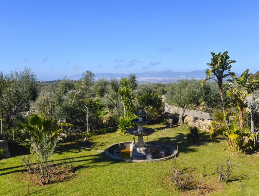 Large country house with holiday rental licence, surrounded by olive trees-29