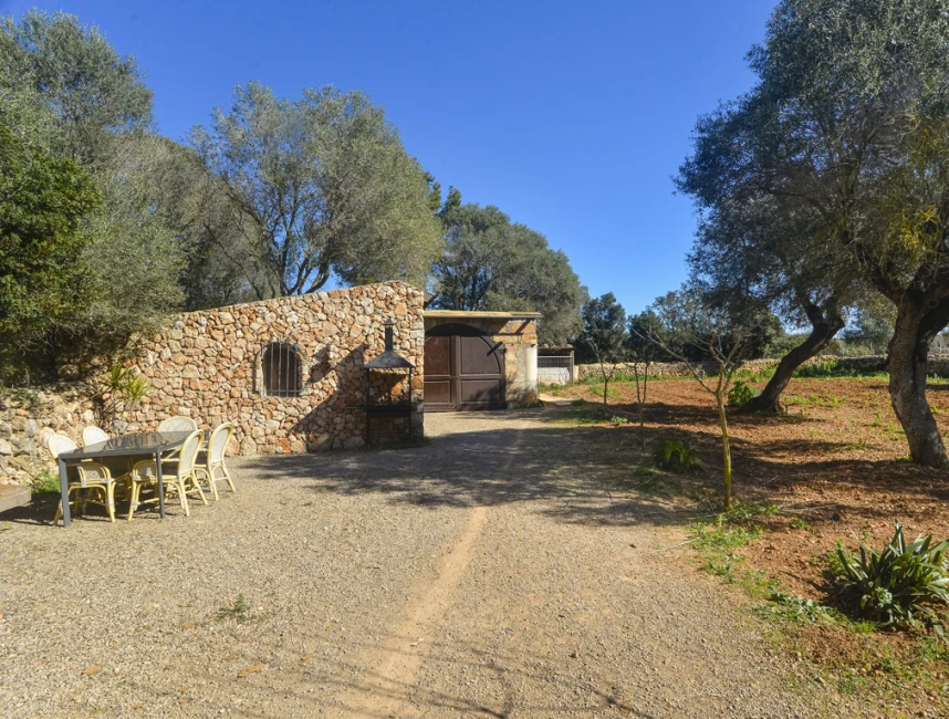 Grande maison de campagne avec permis de location de vacances, entourée d'oliviers-26