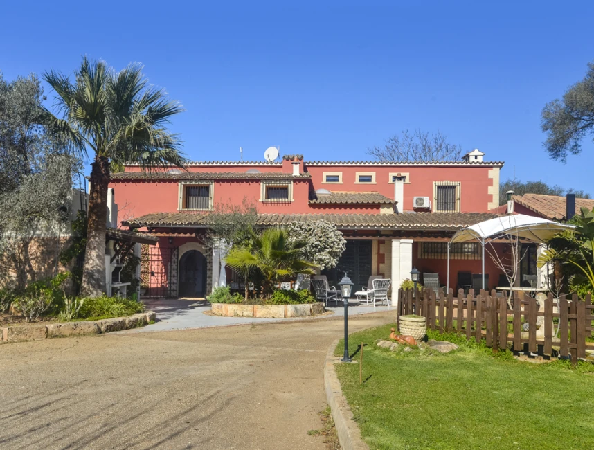 Großes Landhaus mit Ferienvermietlizenz, umgeben von Olivenbäumen-1