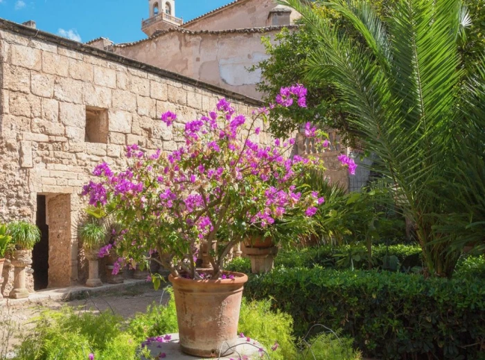 Splendid ground floor duplex with private patio in a restored renaissance-era jewel - Palma de Mallorca, Old Town-2