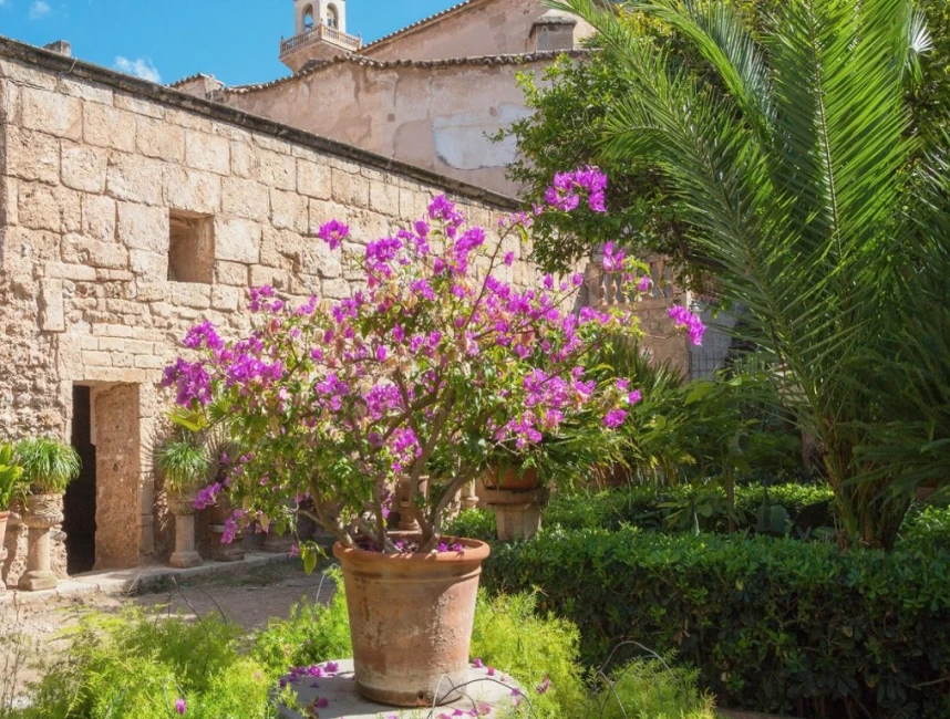 Espléndido dúplex en planta baja con patio privado en una mansión restaurada - Palma de Mallorca, Casco Antiguo-2