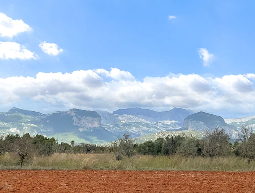 Preuós terreny amb projecte i vistes a la Serra de Tramuntana-1