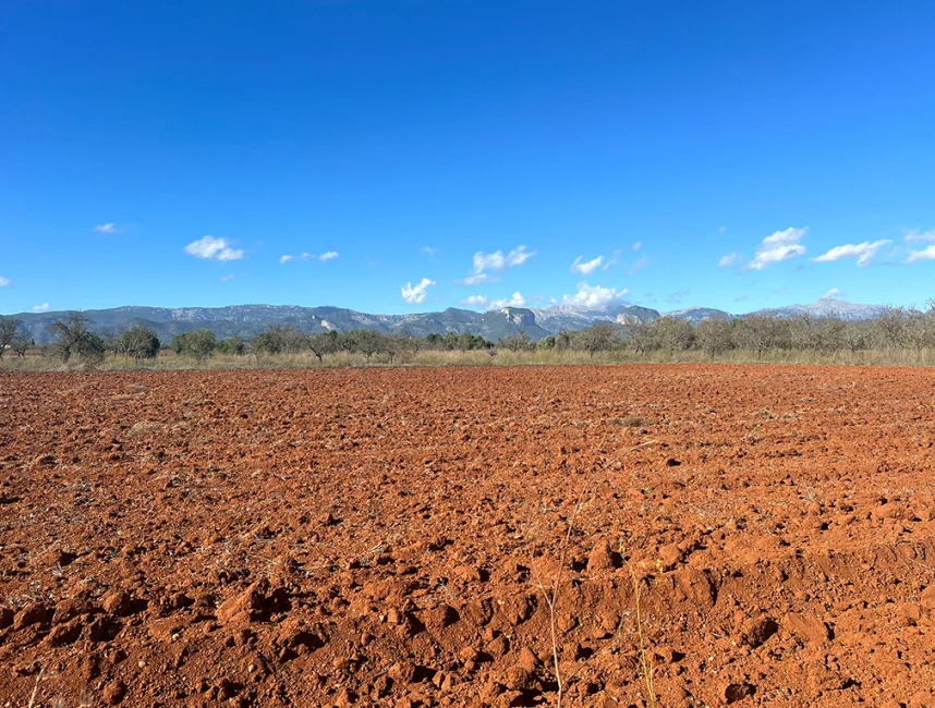Precioso terreno con proyecto y vistas a la Sierra de Tramuntana-2