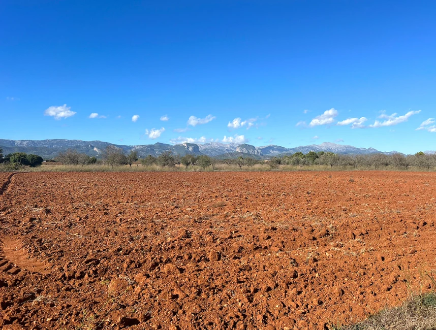 Precioso terreno con proyecto y vistas a la Sierra de Tramuntana-4