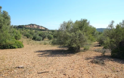 Plot for building a finca with panoramic view