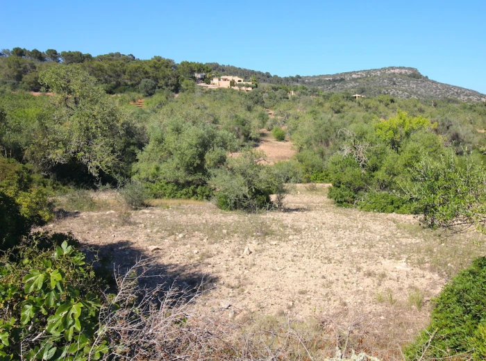 Plot for building a finca with panoramic view-6