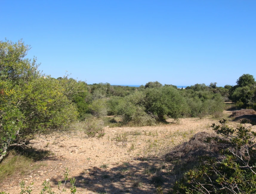 Plot for building a finca with panoramic view-5