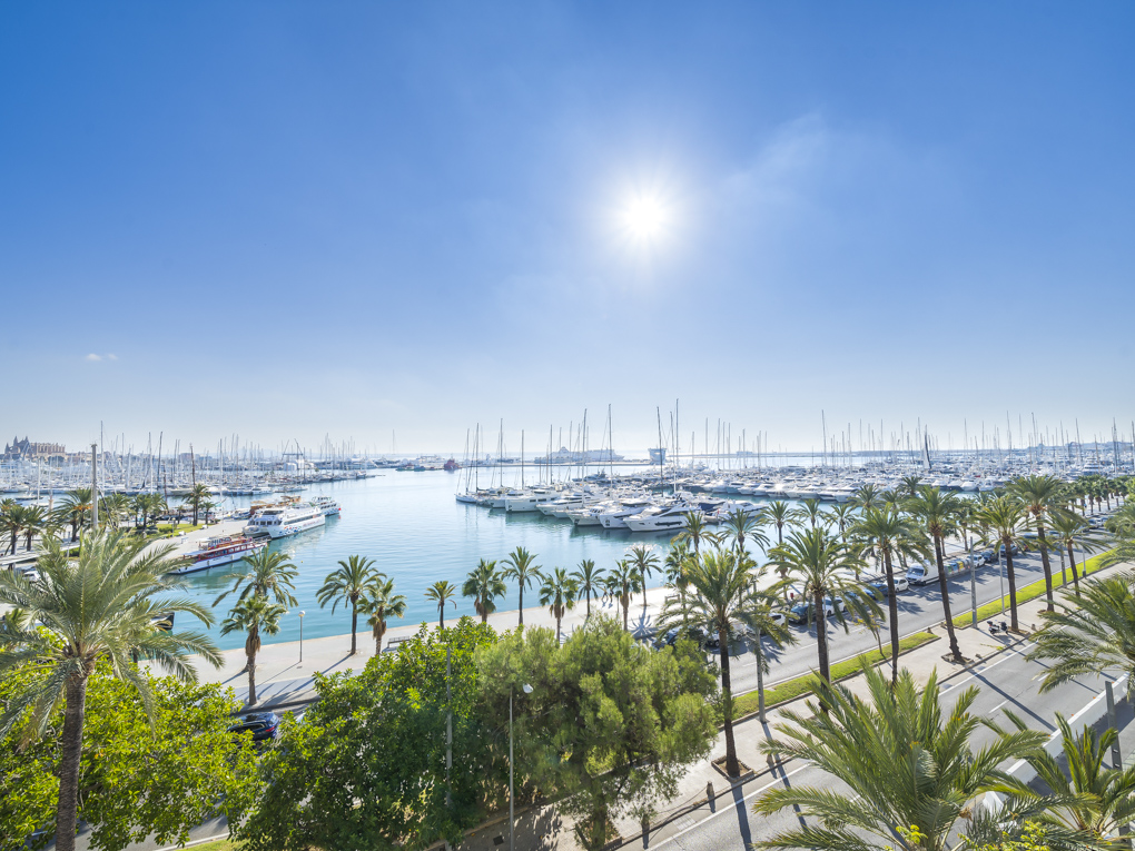 Palma Marítimo - projekt med spektakulär utsikt över hamnen